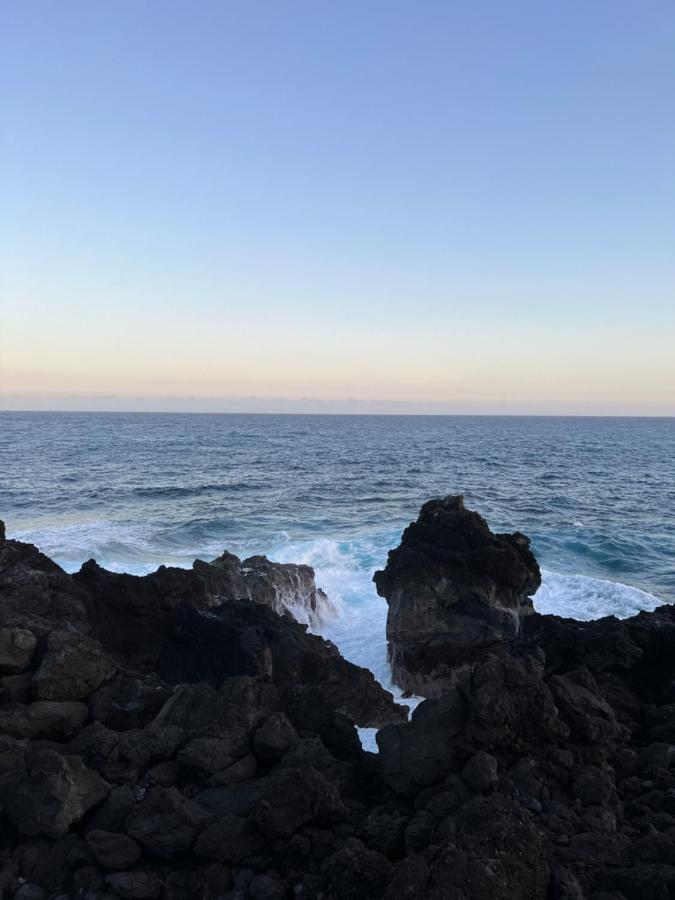 סיינט ג'וזף Les Villas Du Cap Piscine Chauffee Avril A Octobre מראה חיצוני תמונה
